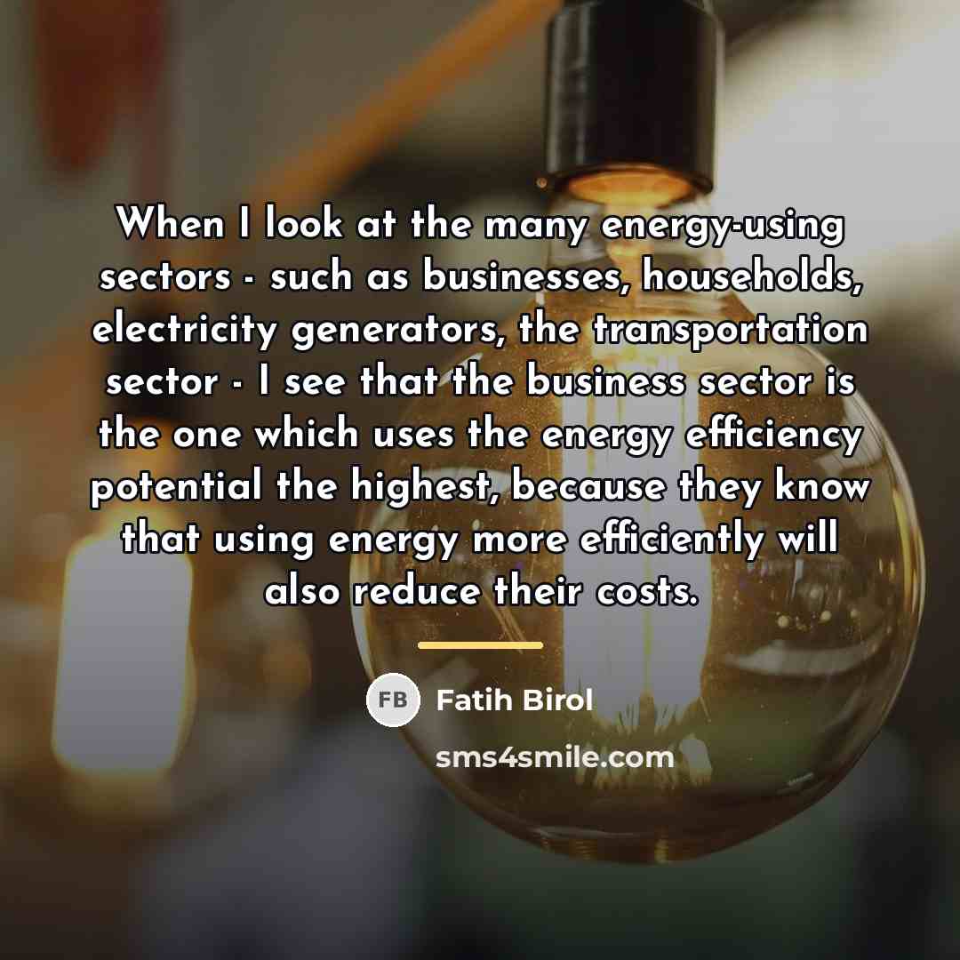 “When I look at the many energy-using sectors - such…” quote by Fatih Birol