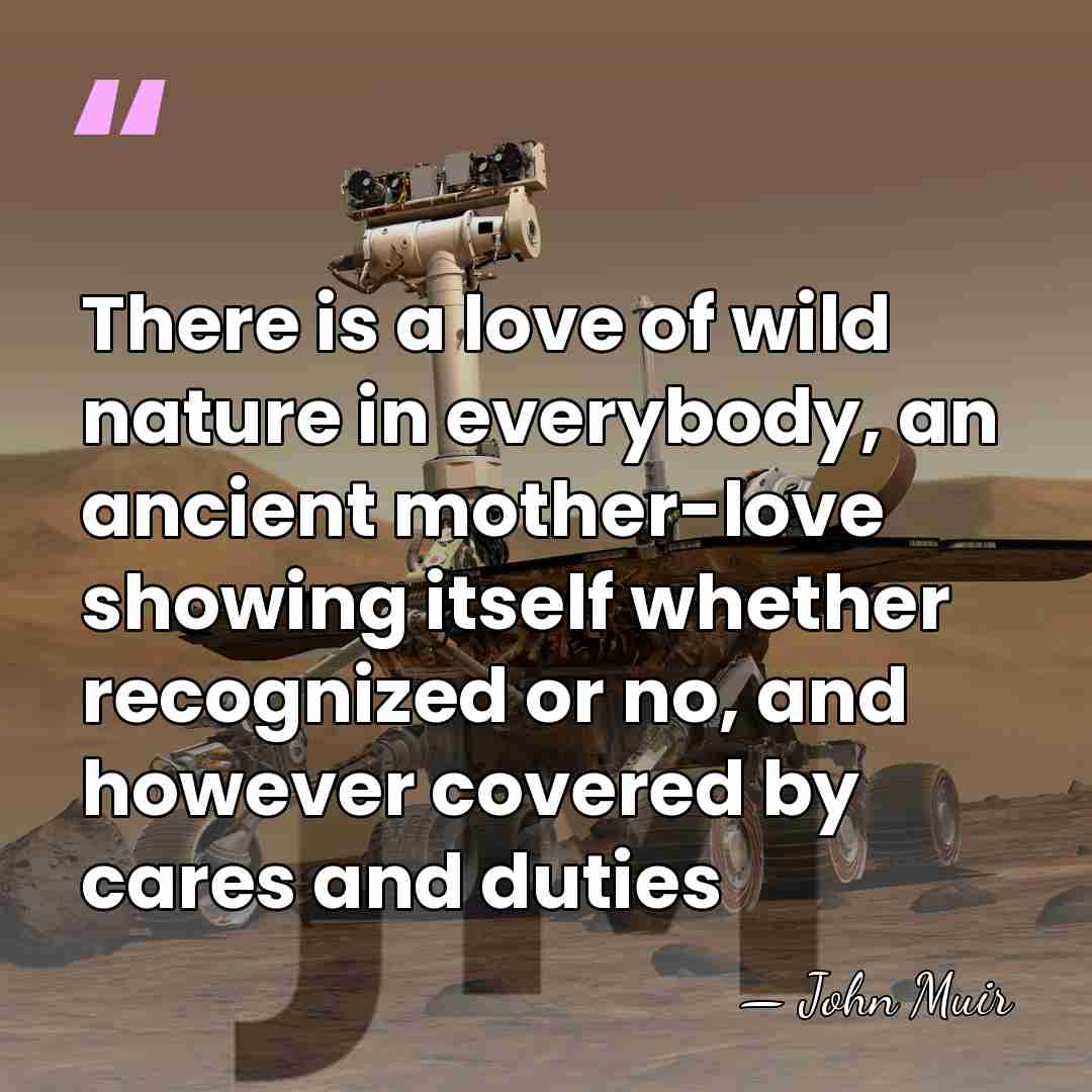There is a love of wild nature in everybody, an ancient mother-love&hellip; - John Muir