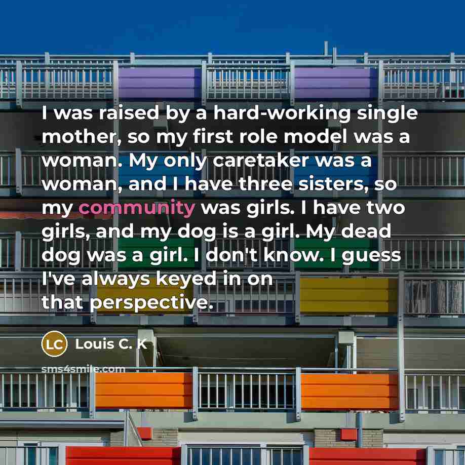 “I was raised by a hard-working single mother, so my…” quote by Louis C. K
