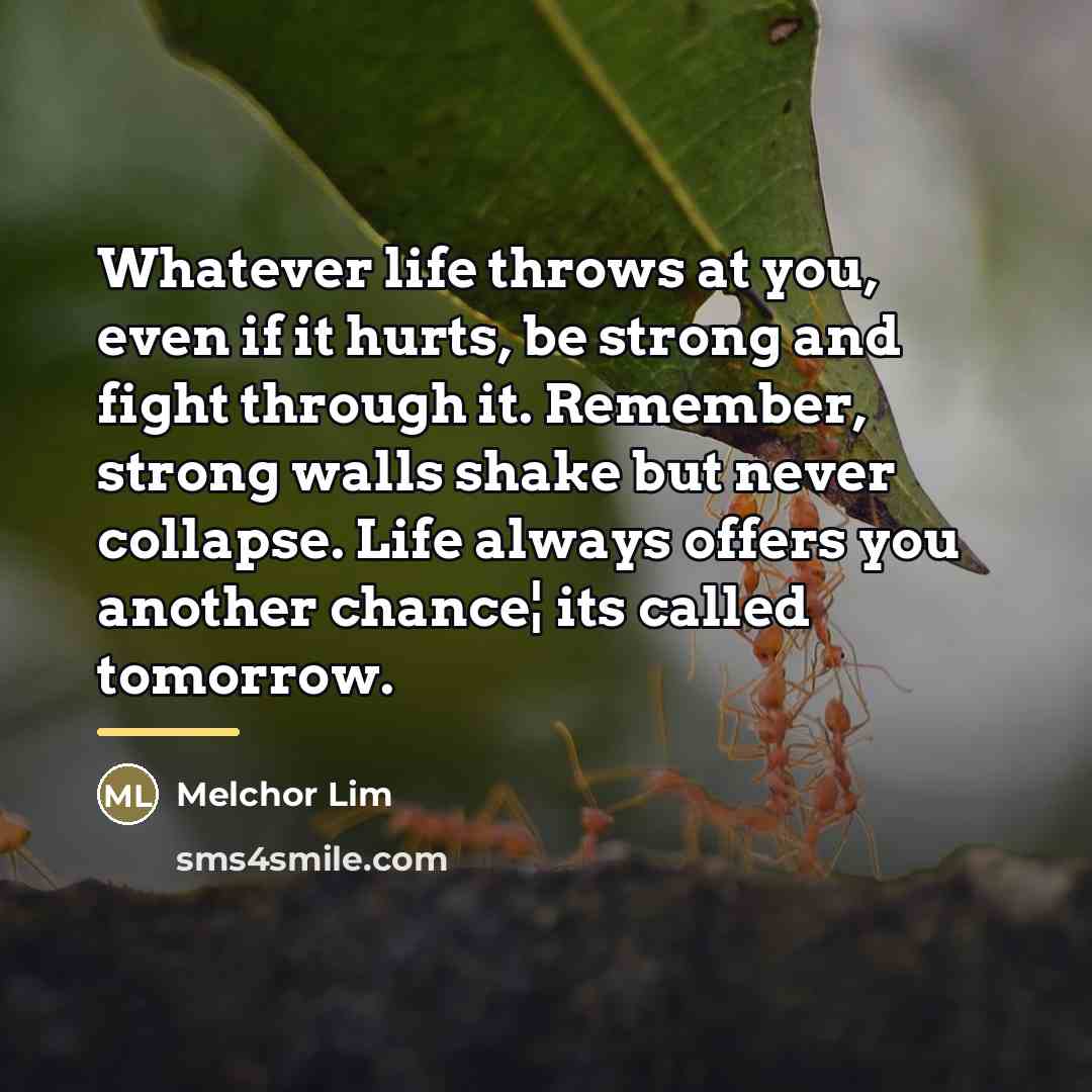 “Whatever life throws at you, even if it hurts, be…” quote by Melchor Lim