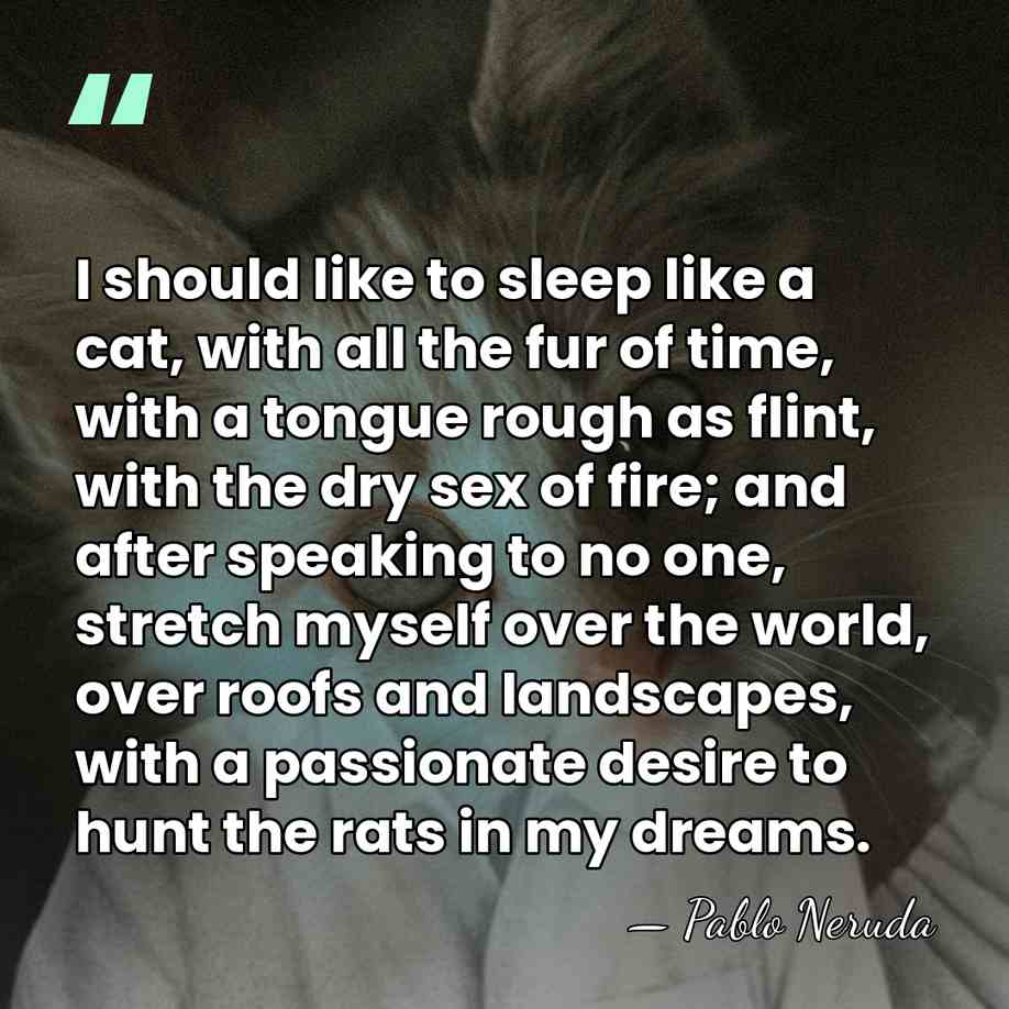 I should like to sleep like a cat, with all the fur&hellip; - Pablo Neruda