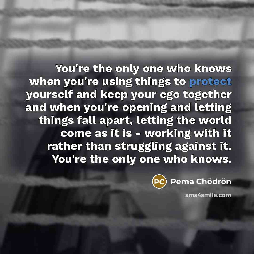 “You're the only one who knows when you're using things…” quote by Pema Chodron