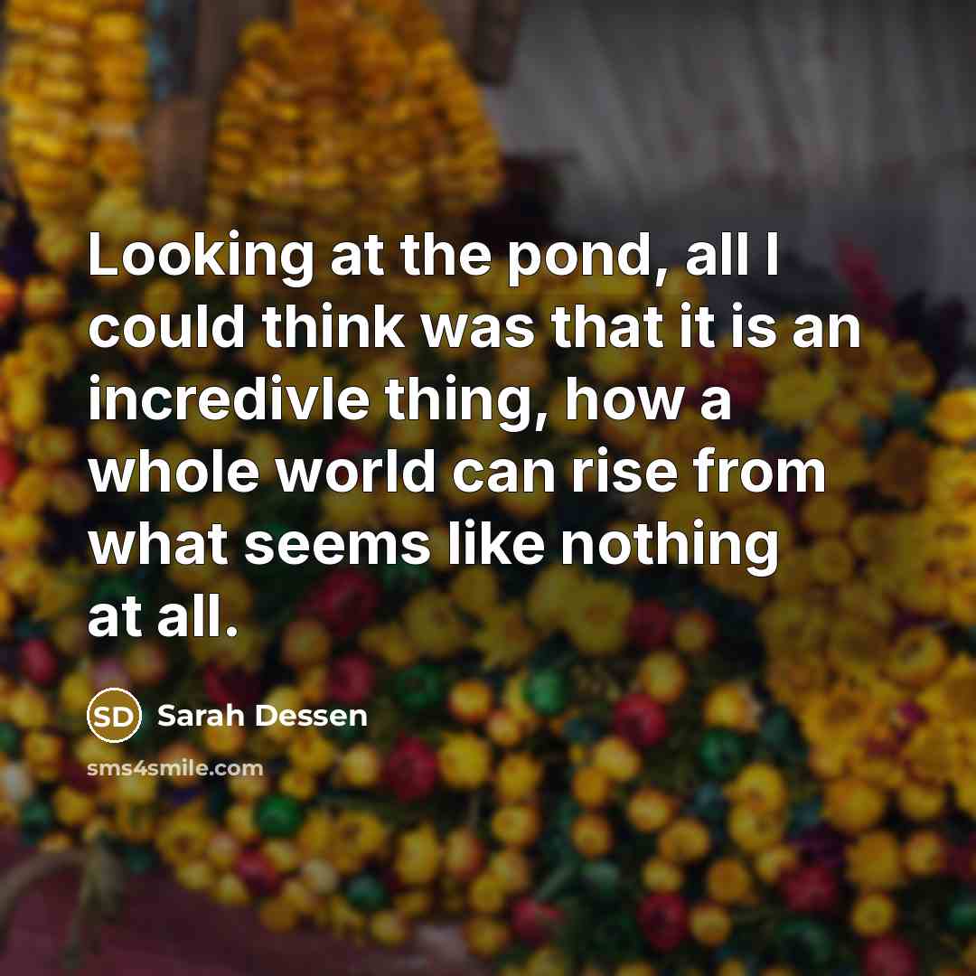 “Looking at the pond, all I could think was that…” quote by Sarah Dessen