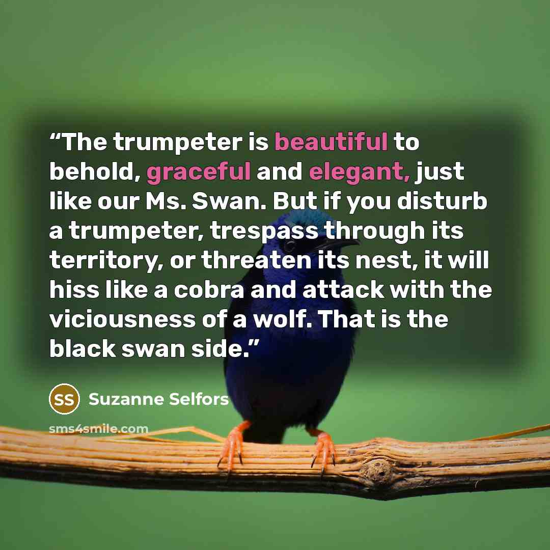 “The trumpeter is beautiful to behold, graceful and elegant, just like our Ms. Swan. But if you disturb a trumpeter, trespass through its territory, or threaten its nest, it will hiss like a cobra and attack with the viciousness of a wolf. That is the black swan side.” quote by Suzanne Selfors