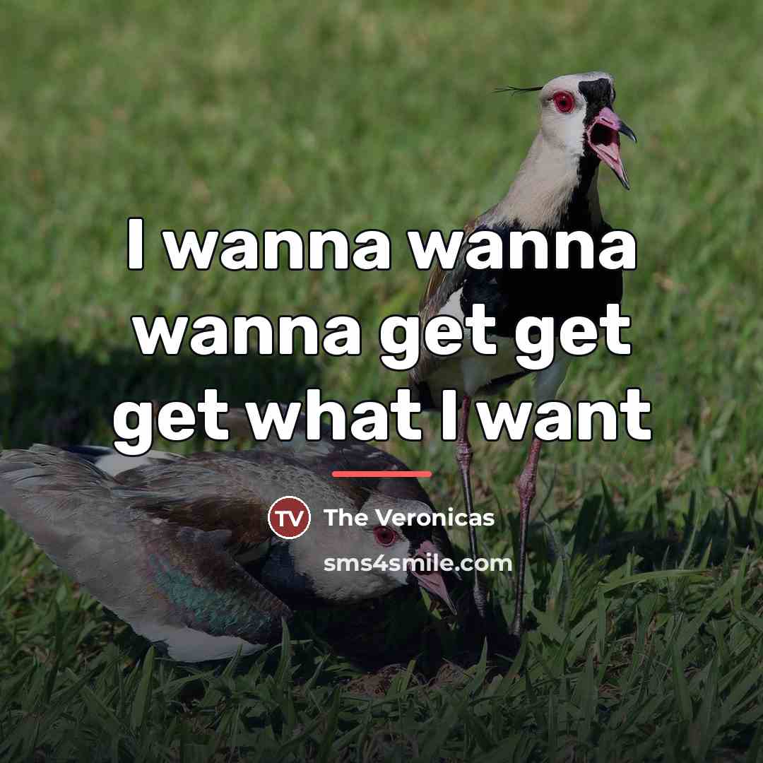 “I wanna wanna wanna get get get what I want…” quote by The Veronicas