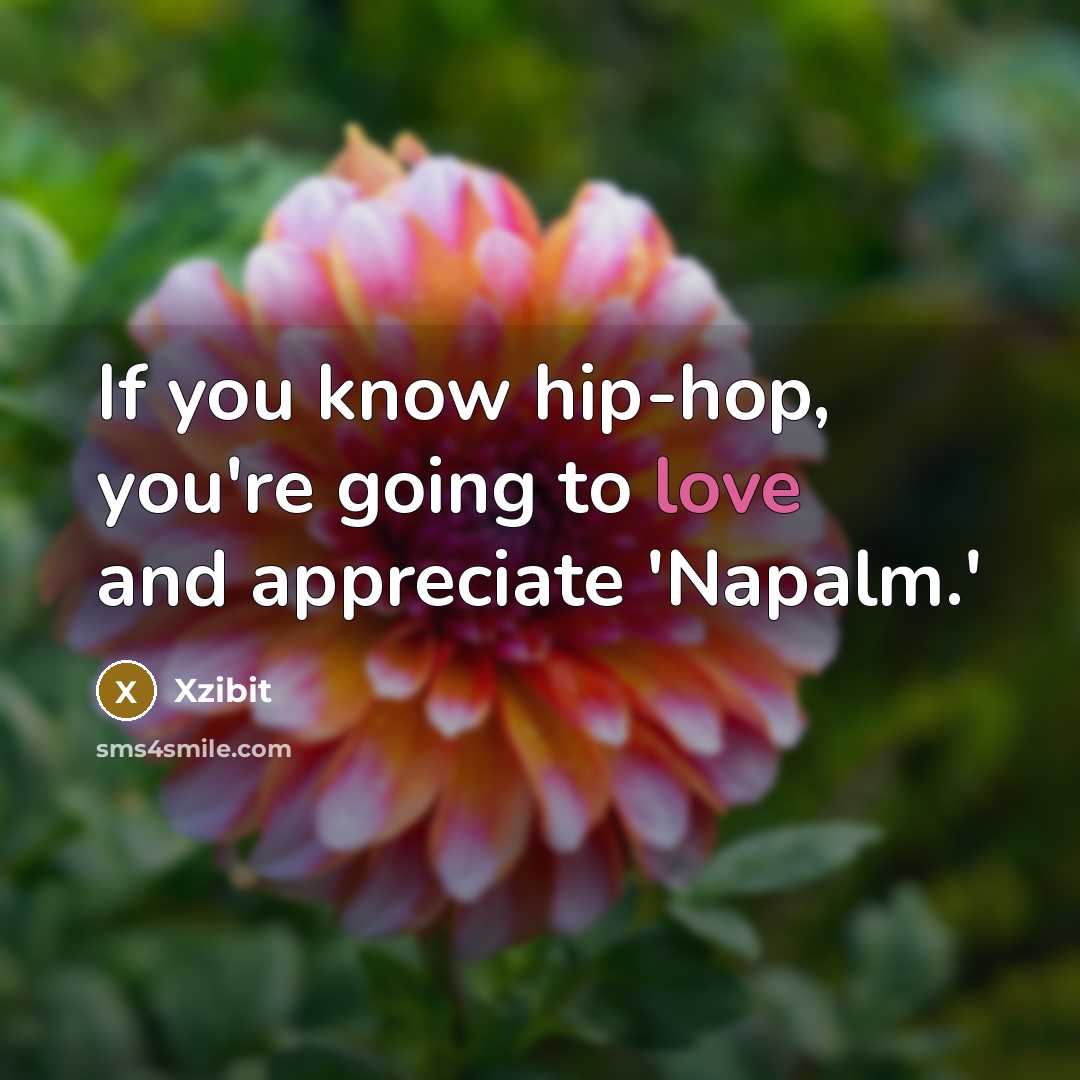 “If you know hip-hop, you're going to love and appreciate…” quote by Xzibit