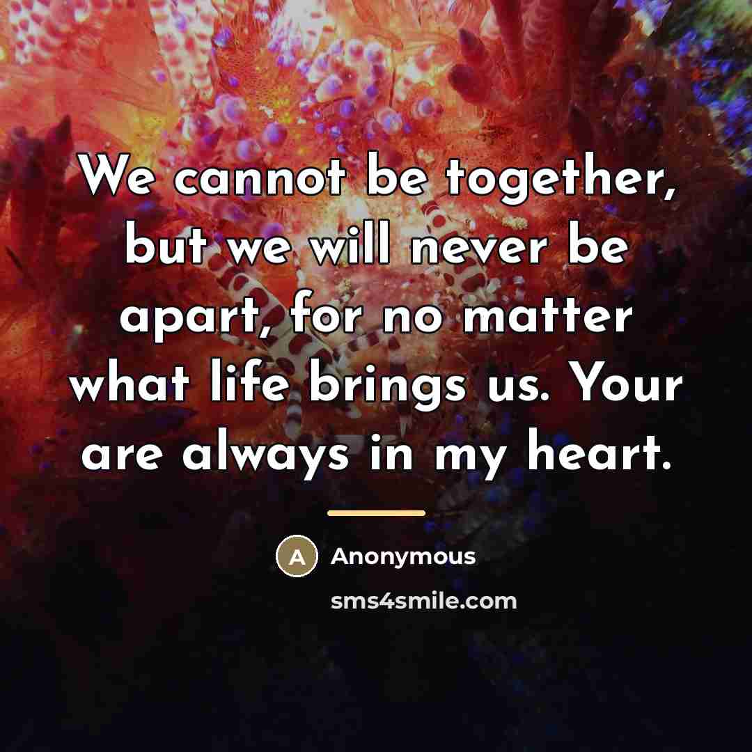 “We cannot be together, but we will never be apart,…” quote by Anonymous