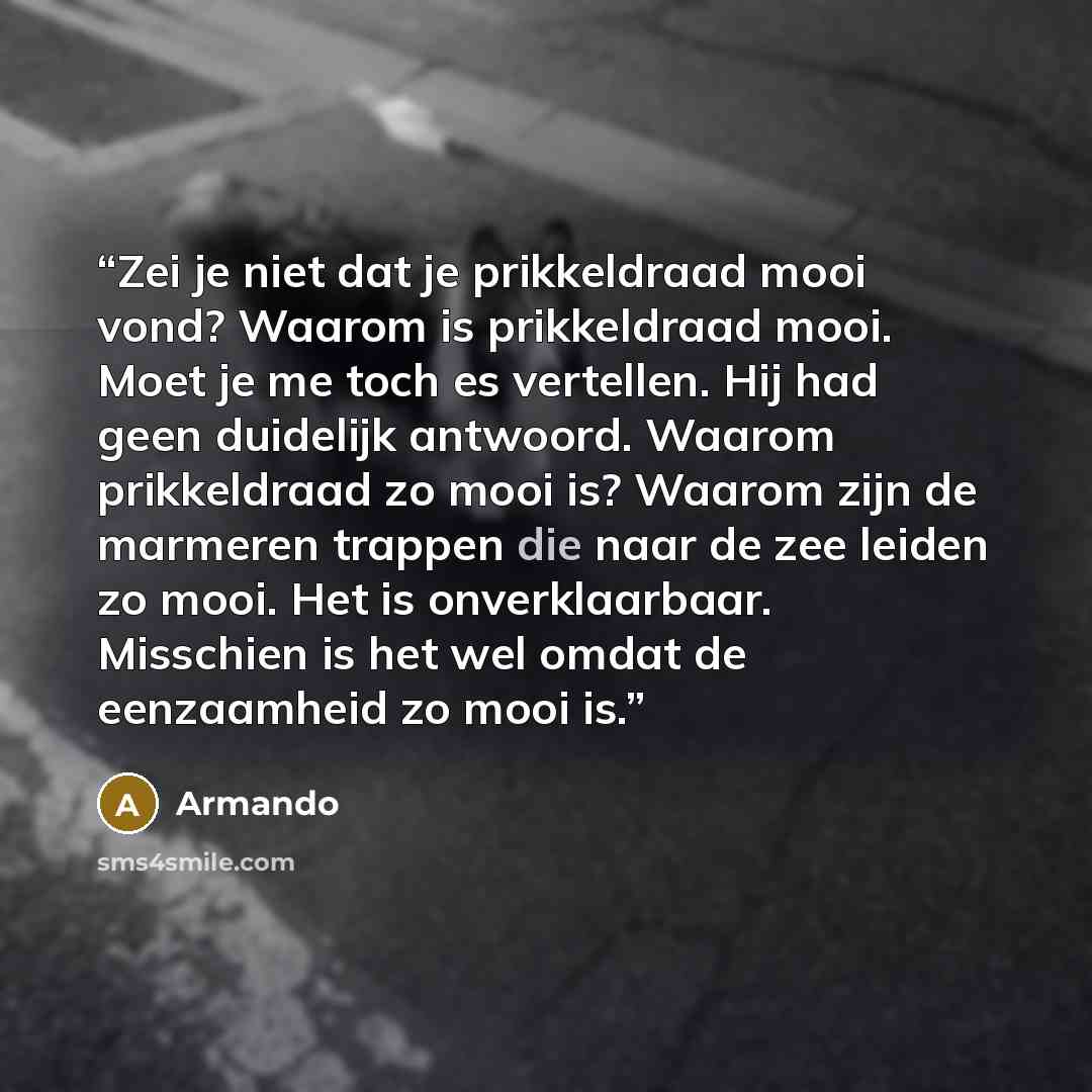 “Zei je niet dat je prikkeldraad mooi vond? Waarom is prikkeldraad mooi. Moet je me toch es vertellen. Hij had geen duidelijk antwoord. Waarom prikkeldraad zo mooi is? Waarom zijn de marmeren trappen die naar de zee leiden zo mooi. Het is onverklaarbaar. Misschien is het wel omdat de eenzaamheid zo…” quote by Armando