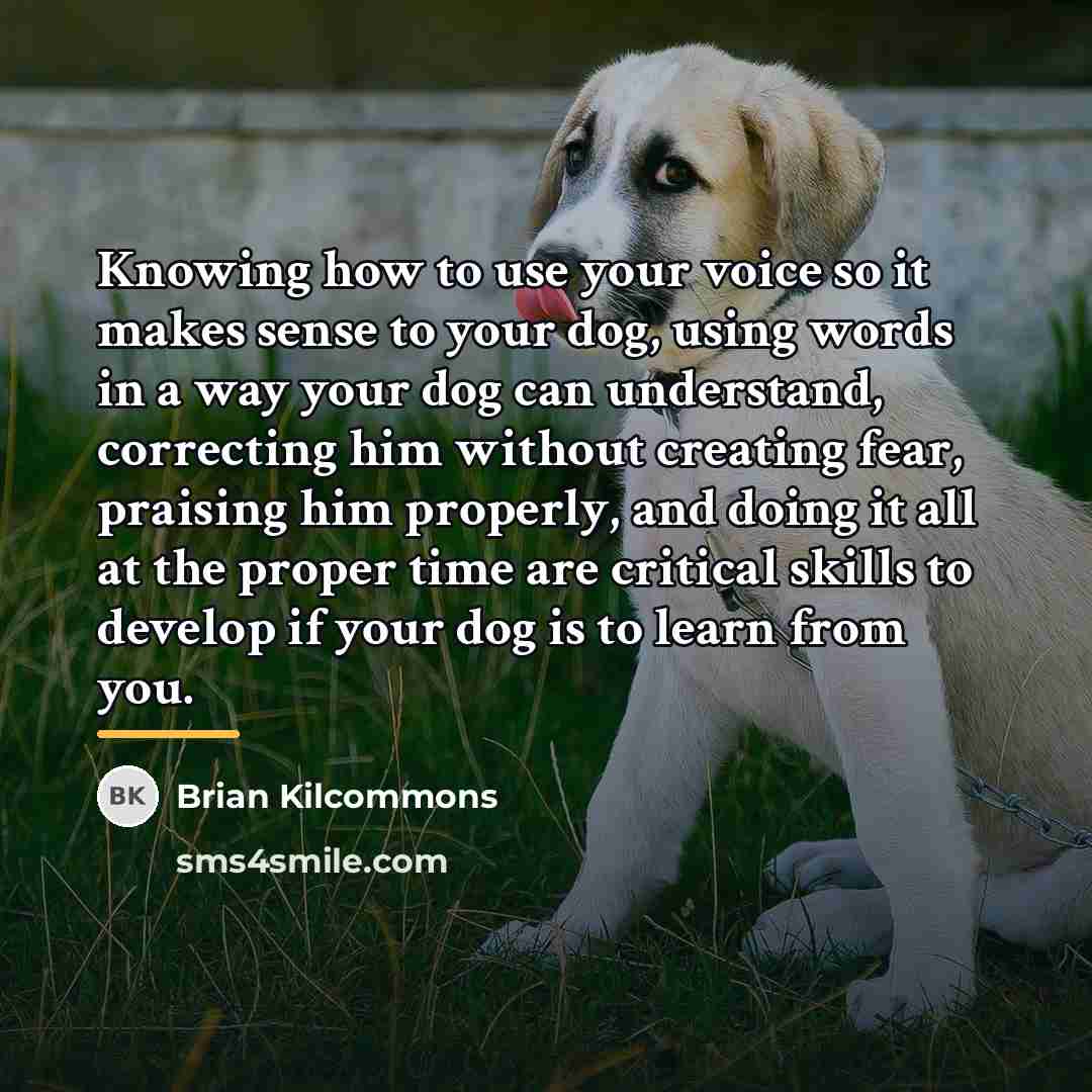 “Knowing how to use your voice so it makes sense…” quote by Brian Kilcommons
