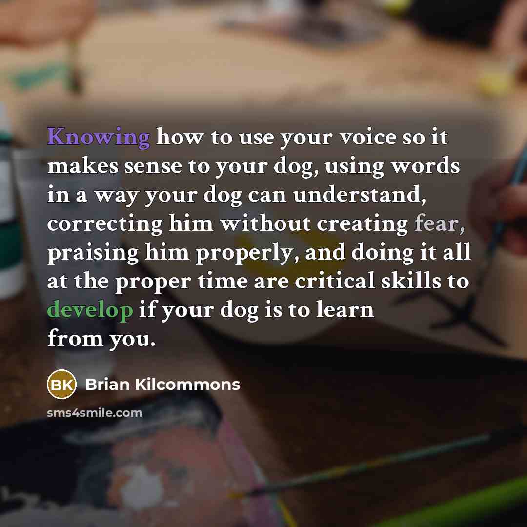 “Knowing how to use your voice so it makes sense to your dog, using words in a way your dog can understand, correcting him without creating fear, praising him properly, and doing it all at the proper time are critical skills to develop if your dog is to learn from you.” quote by Brian Kilcommons