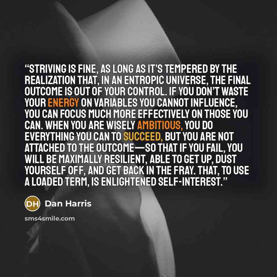 “Striving is fine, as long as it’s tempered by the realization that, in an entropic universe, the final outcome is out of your control. If you don’t waste your energy on variables you cannot influence, you can focus much more effectively on those you can. When you are wisely ambitious, you do…” quote by Dan Harris