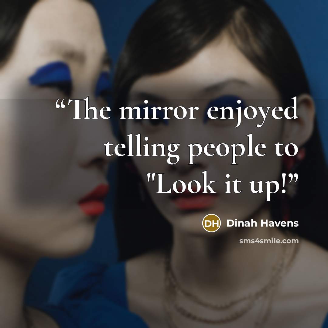 “The mirror enjoyed telling people to "Look it up!” quote by Dinah Havens
