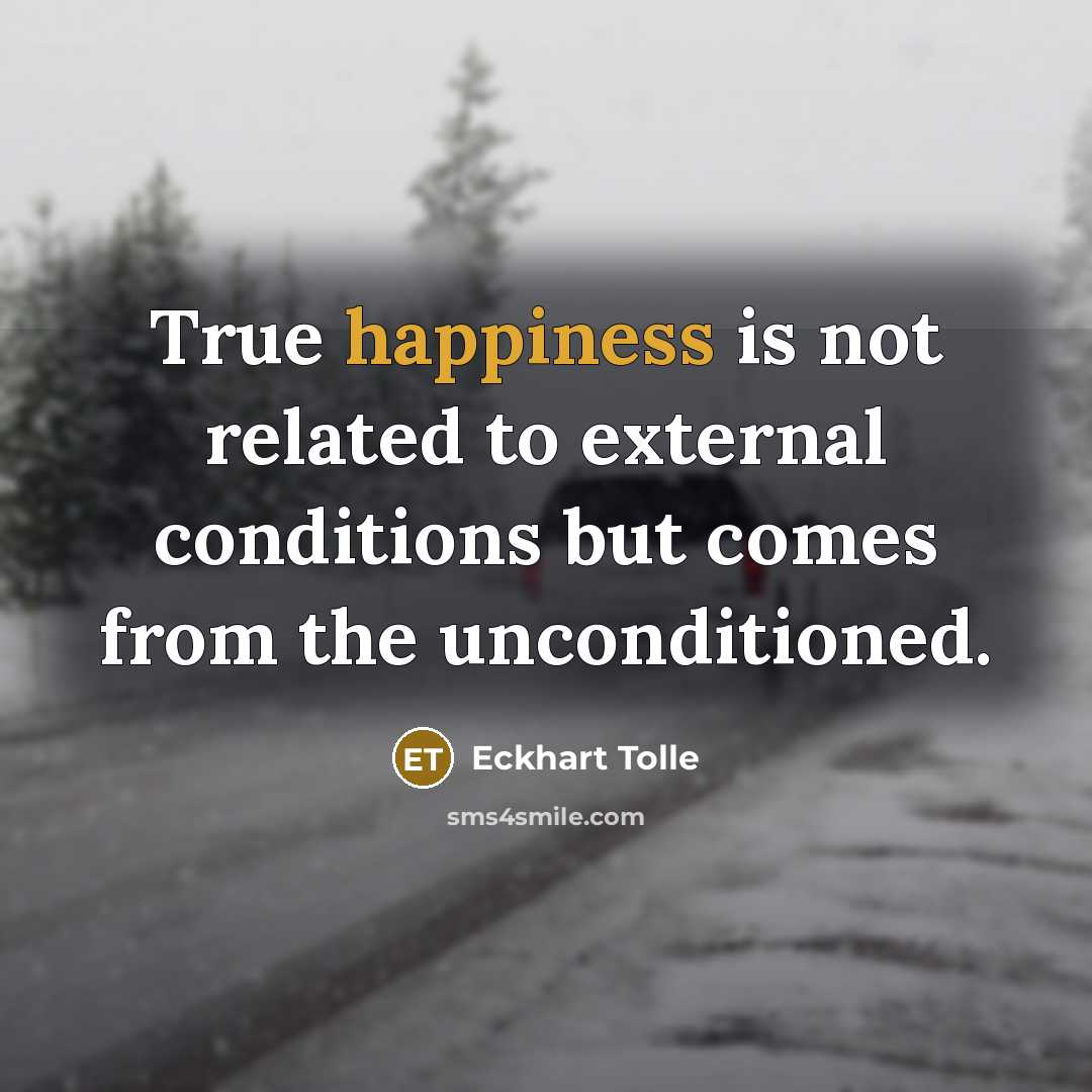 “True happiness is not related to external conditions but comes…” quote by Eckhart Tolle
