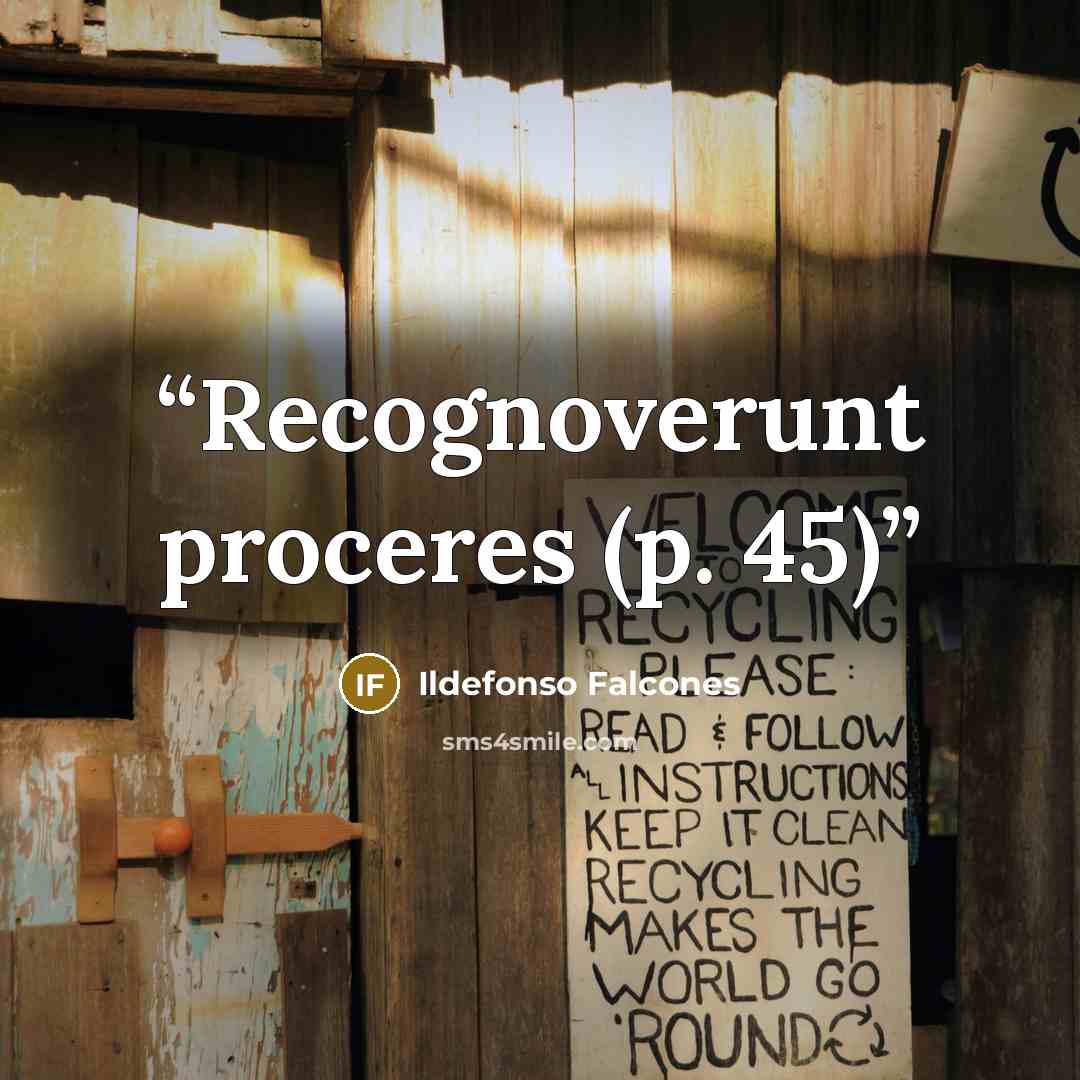 “Recognoverunt proceres (p. 45)” quote by Ildefonso Falcones