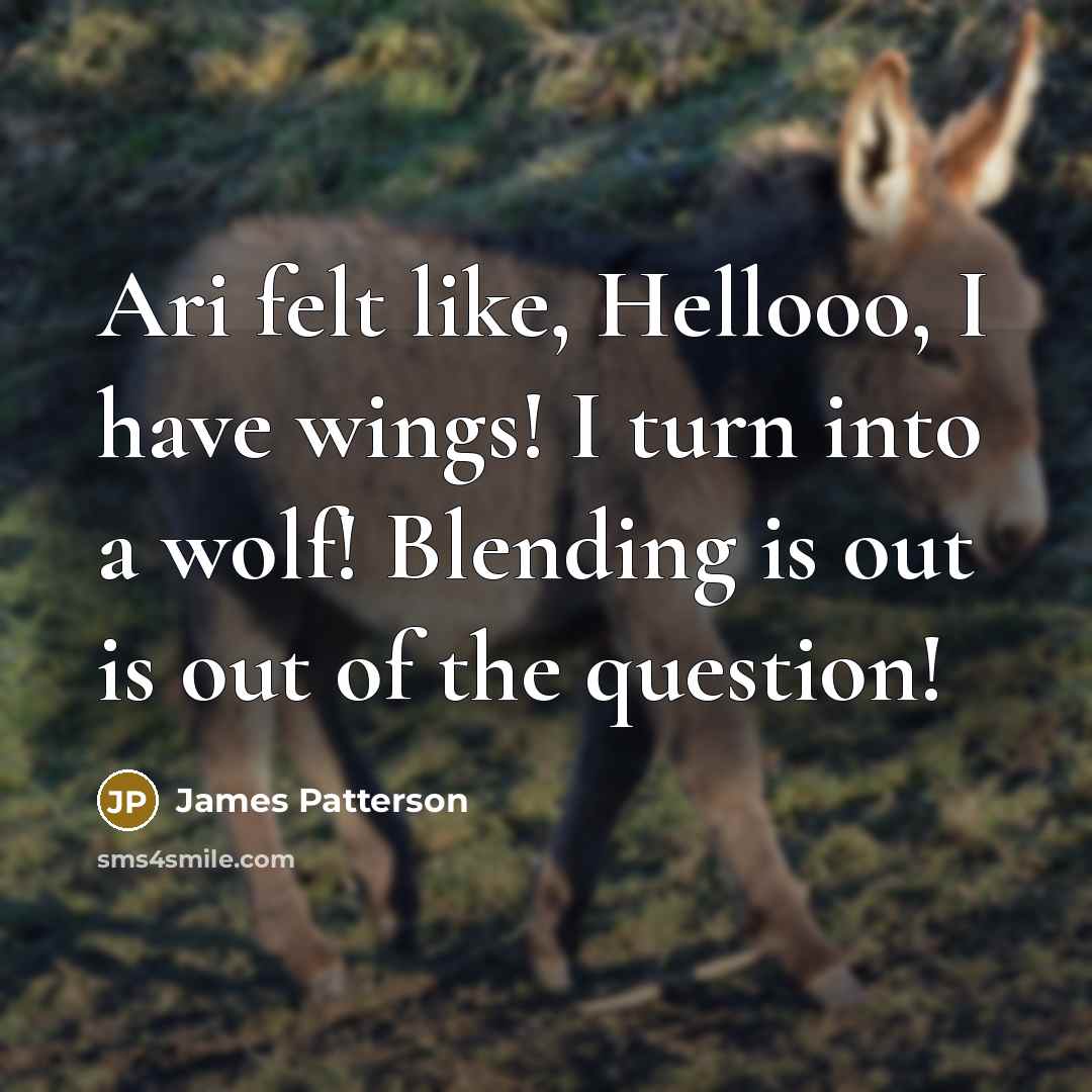 “Ari felt like, Hellooo, I have wings! I turn into…” quote by James Patterson