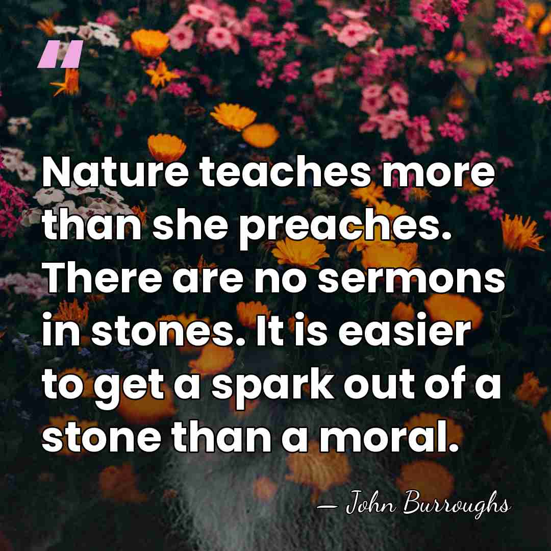 Nature teaches more than she preaches. There are no sermons in stones.&hellip; - John Burroughs