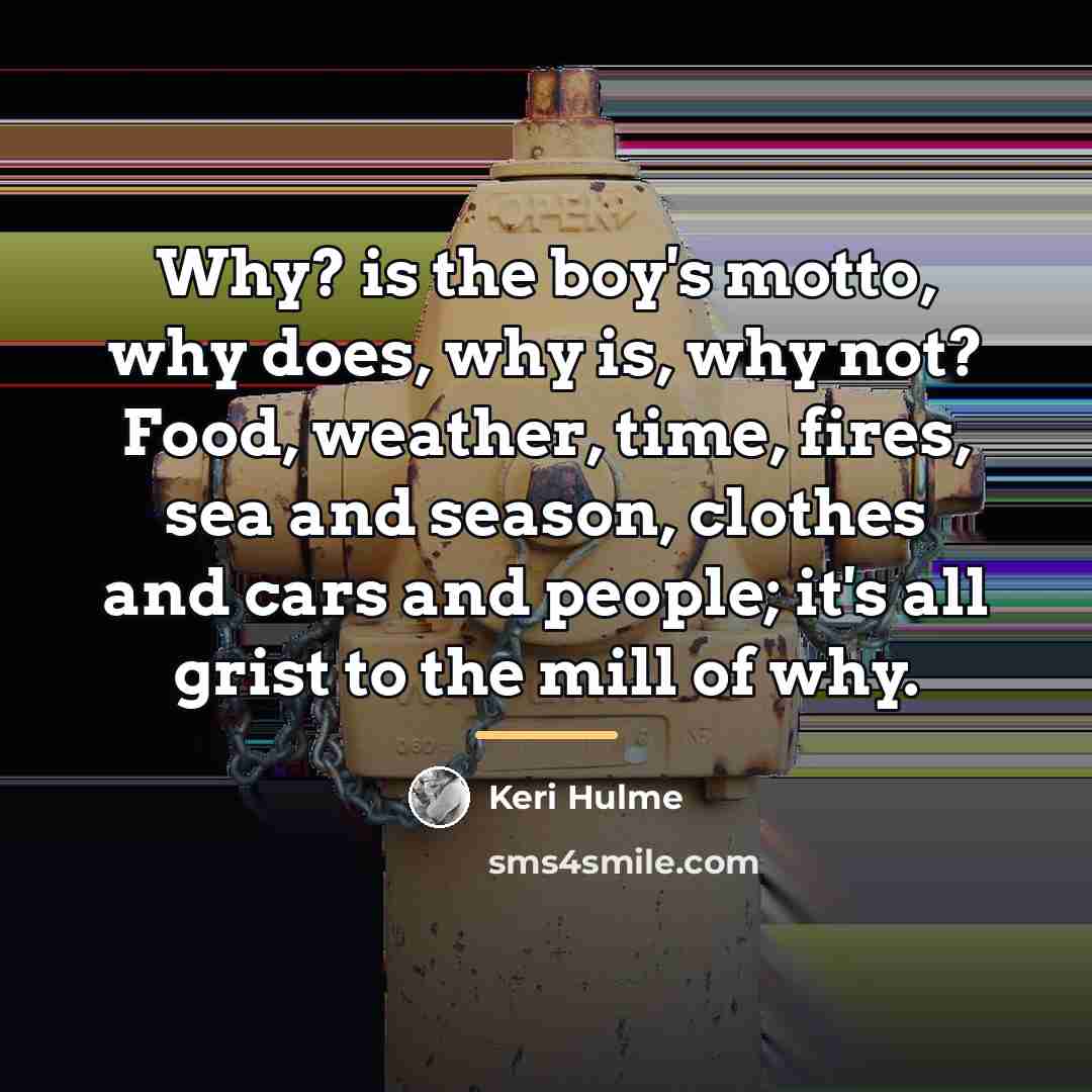 “Why? is the boy's motto, why does, why is, why…” quote by Keri Hulme