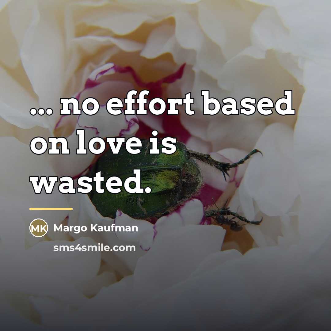 “... no effort based on love is wasted.…” quote by Margo Kaufman