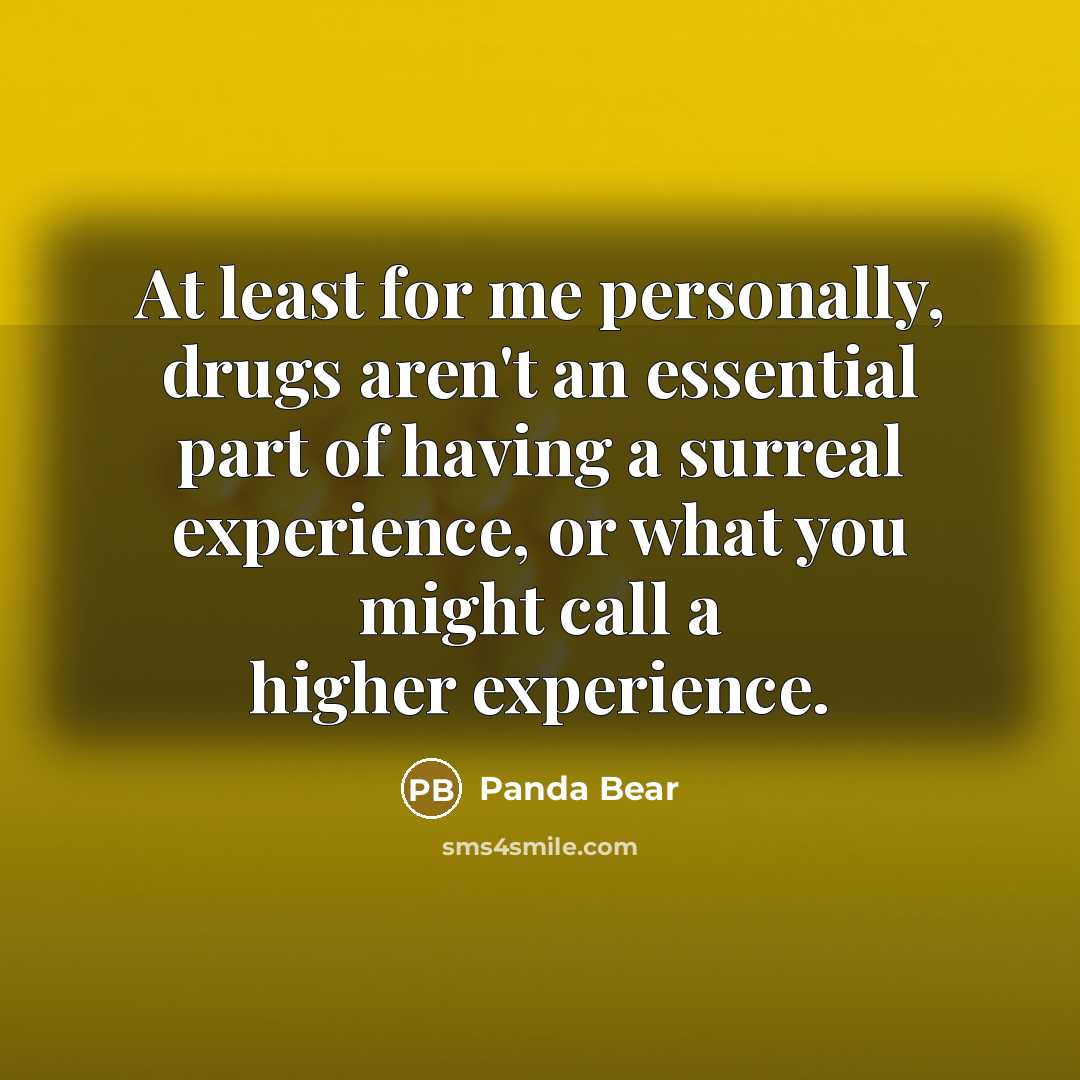 “At least for me personally, drugs aren't an essential part…” quote by Panda Bear