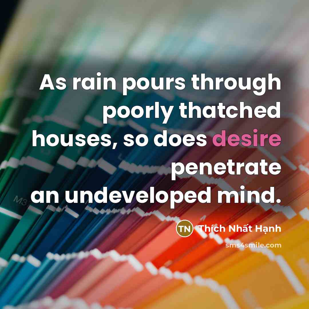 “As rain pours through poorly thatched houses, so does desire…” quote by Thích Nhất Hạnh