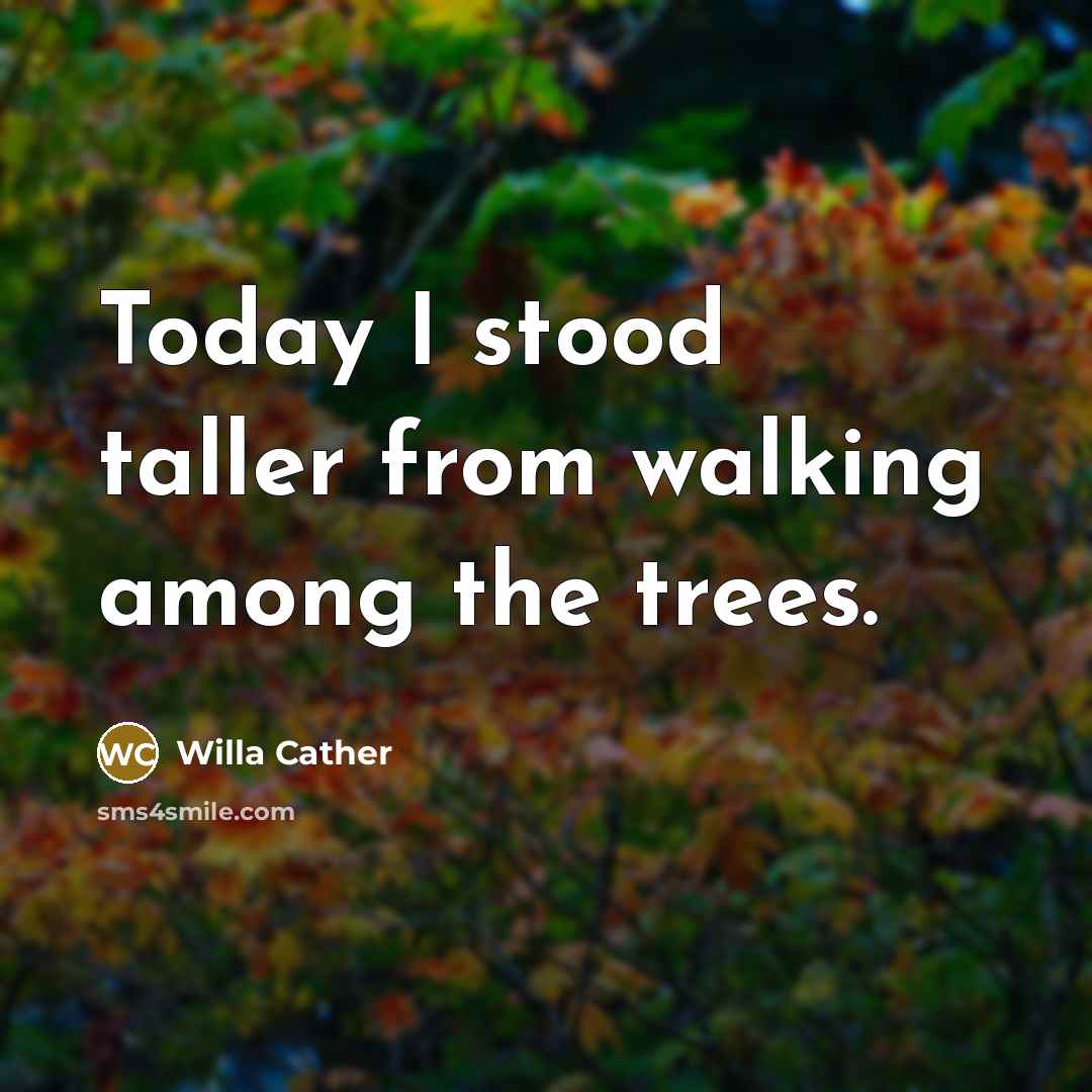 “Today I stood taller from walking among the trees.…” quote by Willa Cather