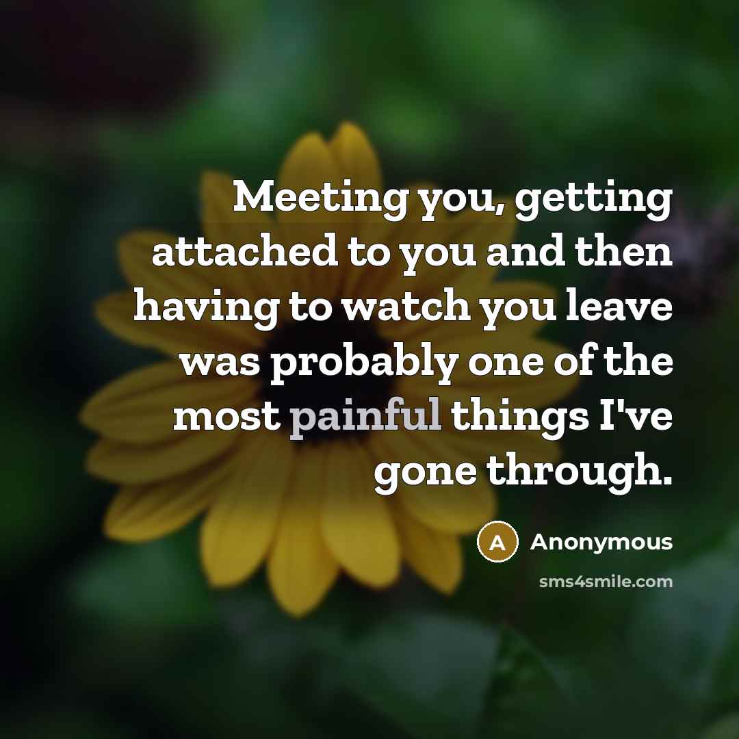 “Meeting you, getting attached to you and then having to watch you leave was probably one of the most painful things I've gone through.” quote by Anonymous