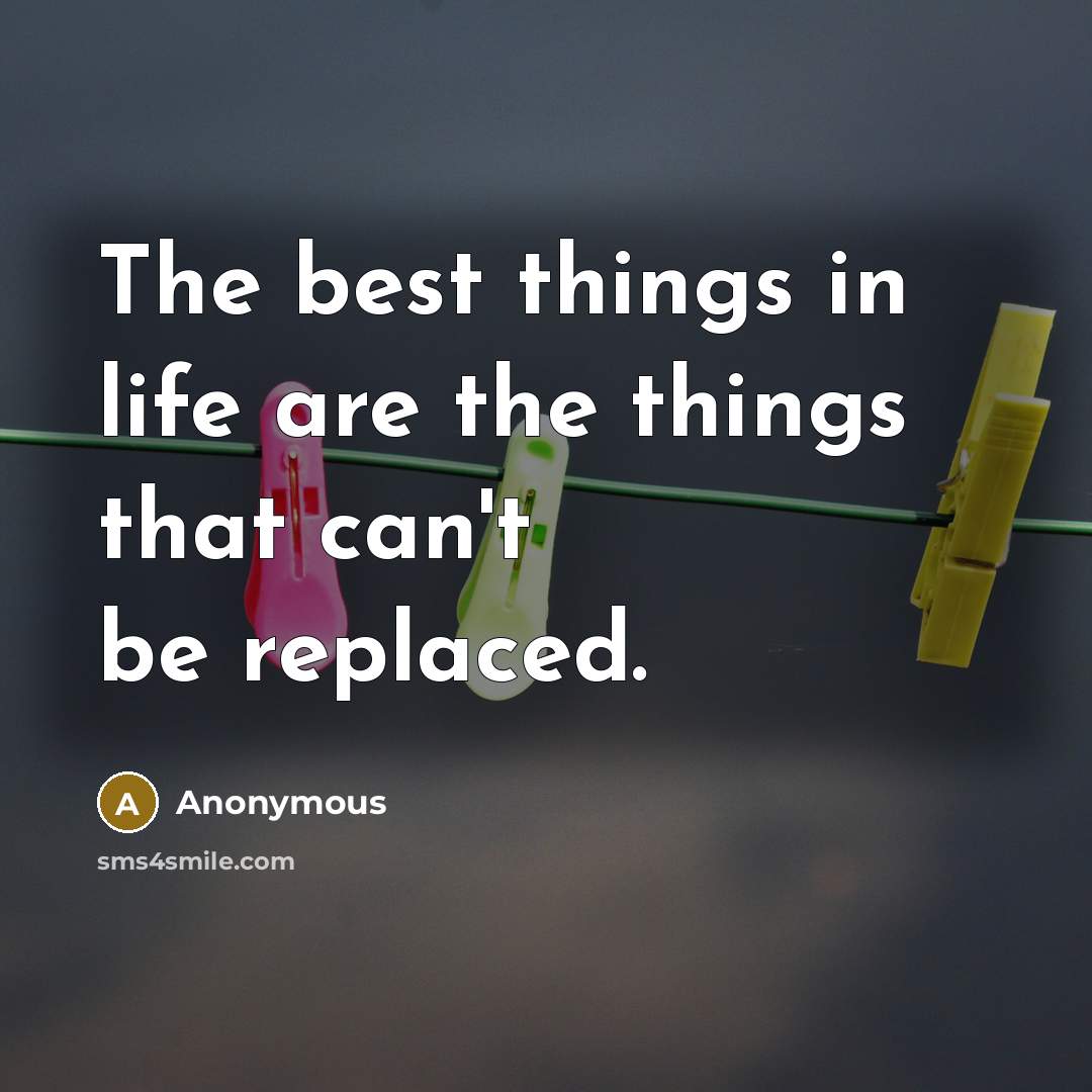 “The best things in life are the things that can't be replaced.” quote by Anonymous