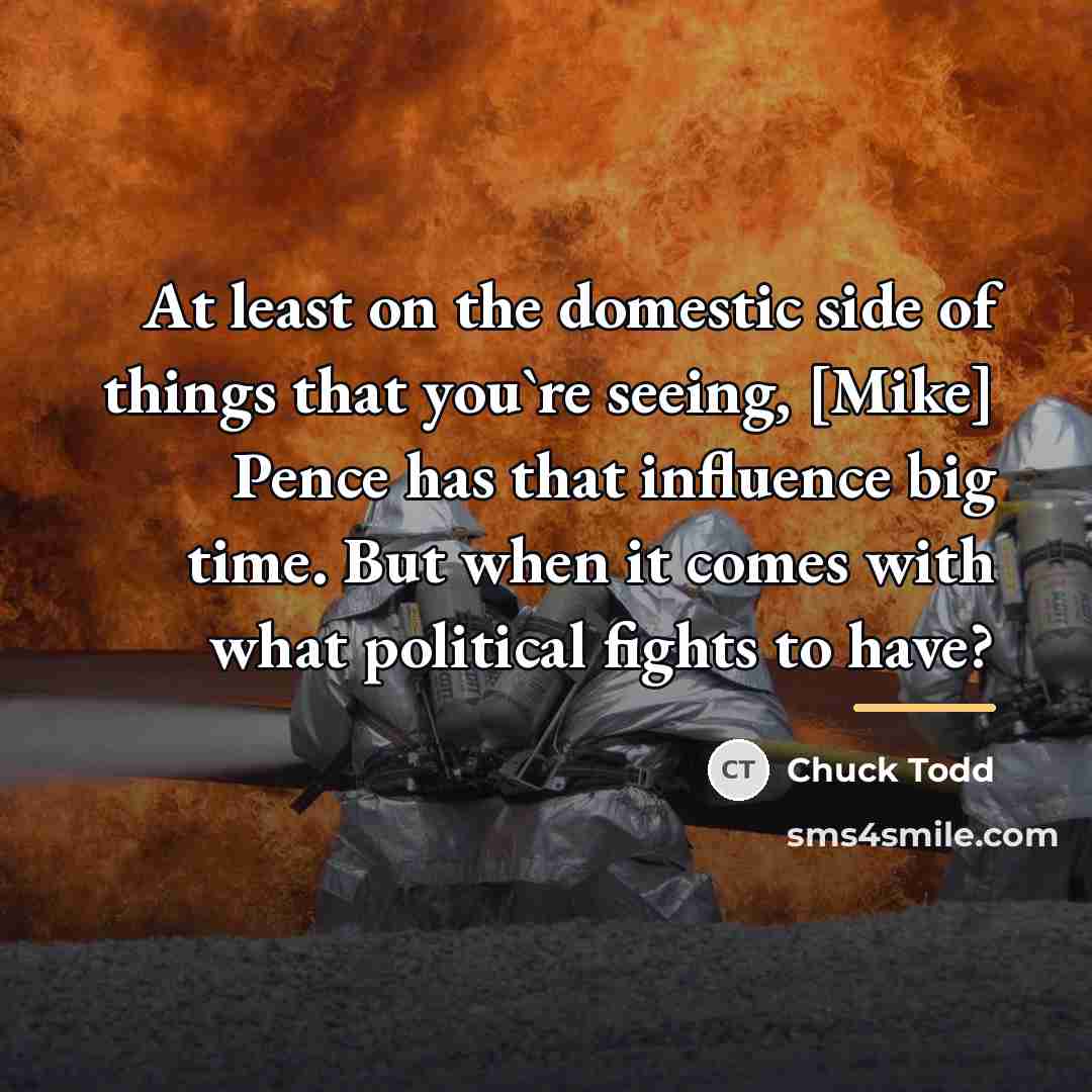 “At least on the domestic side of things that you`re…” quote by Chuck Todd