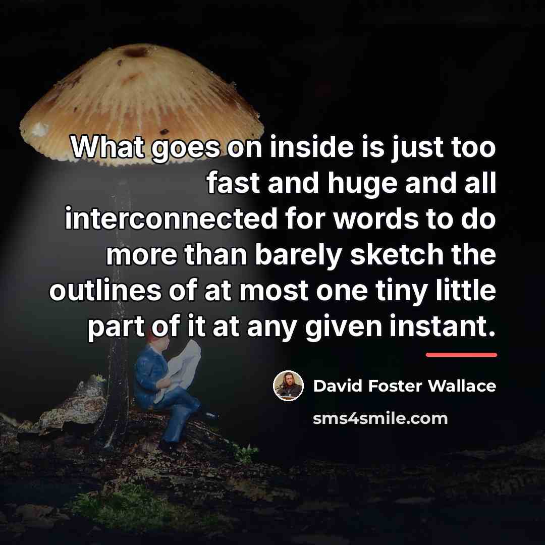 “What goes on inside is just too fast and huge…” quote by David Foster Wallace
