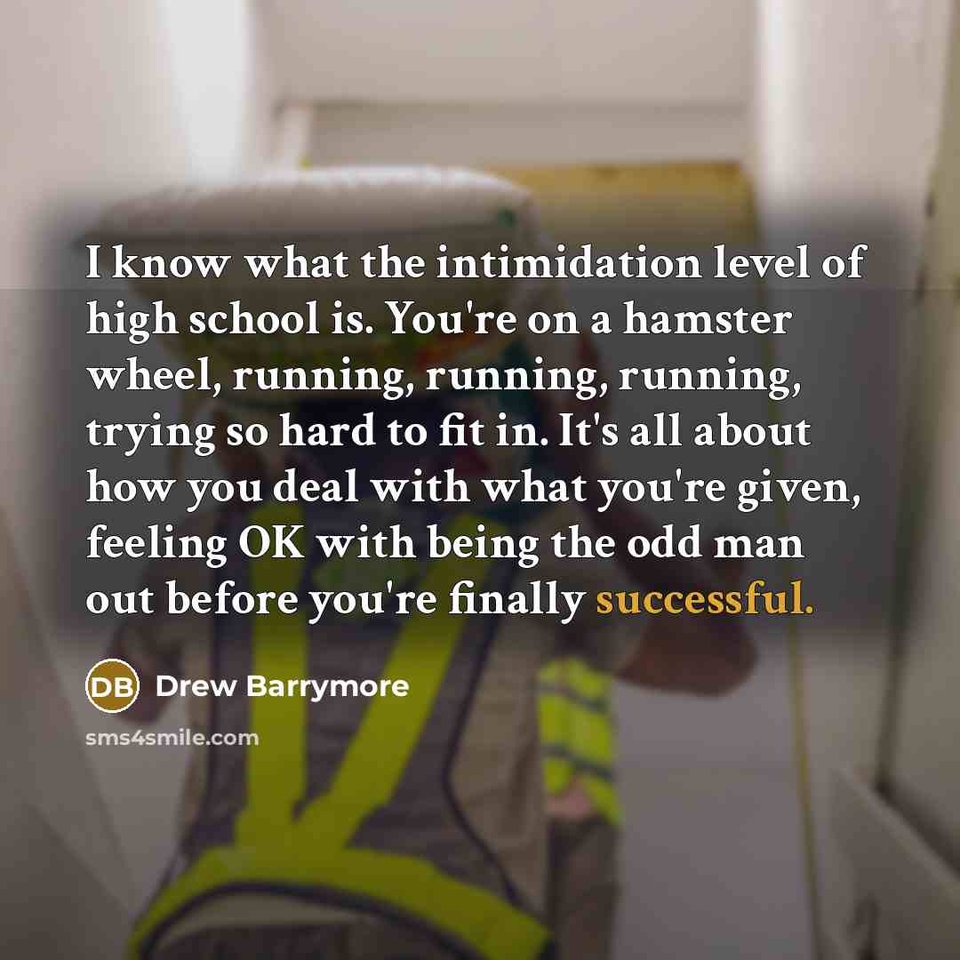 “I know what the intimidation level of high school is.…” quote by Drew Barrymore