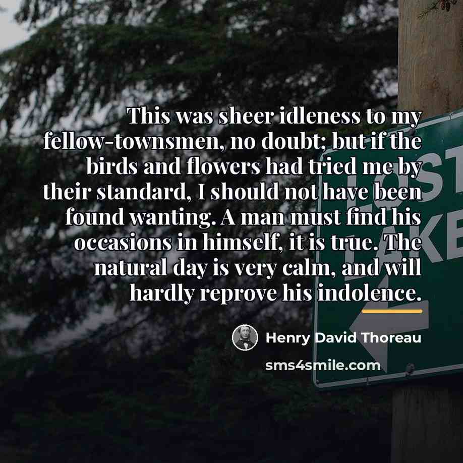 “This was sheer idleness to my fellow-townsmen, no doubt; but…” quote by Henry David Thoreau