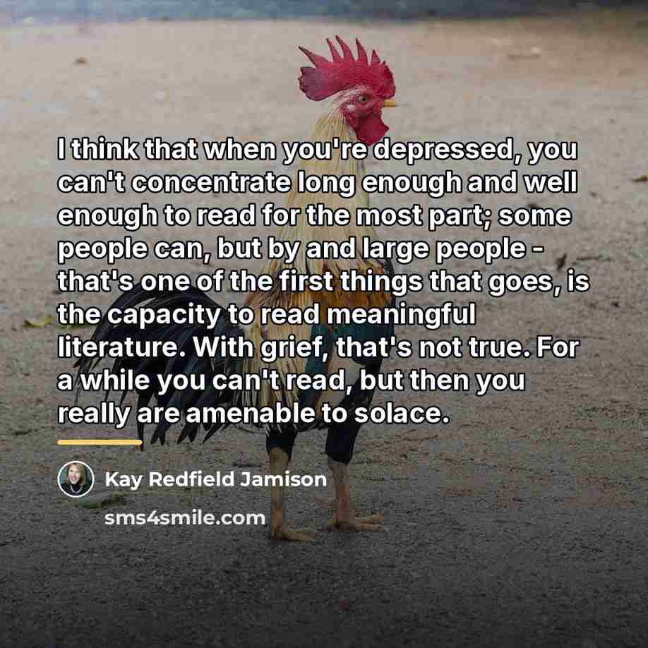 “I think that when you're depressed, you can't concentrate long…” quote by Kay Redfield Jamison