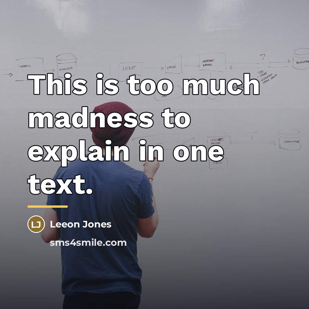 “This is too much madness to explain in one text.…” quote by Leeon Jones