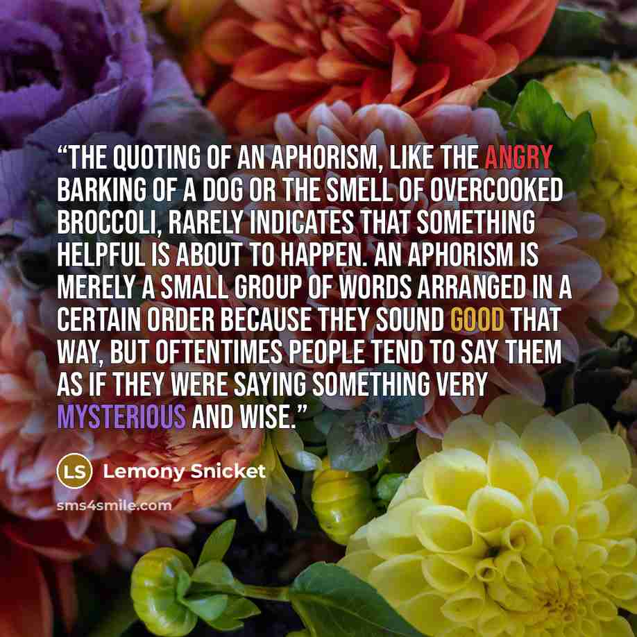 “The quoting of an aphorism, like the angry barking of a dog or the smell of overcooked broccoli, rarely indicates that something helpful is about to happen. An aphorism is merely a small group of words arranged in a certain order because they sound good that way, but oftentimes people tend to say…” quote by Lemony Snicket