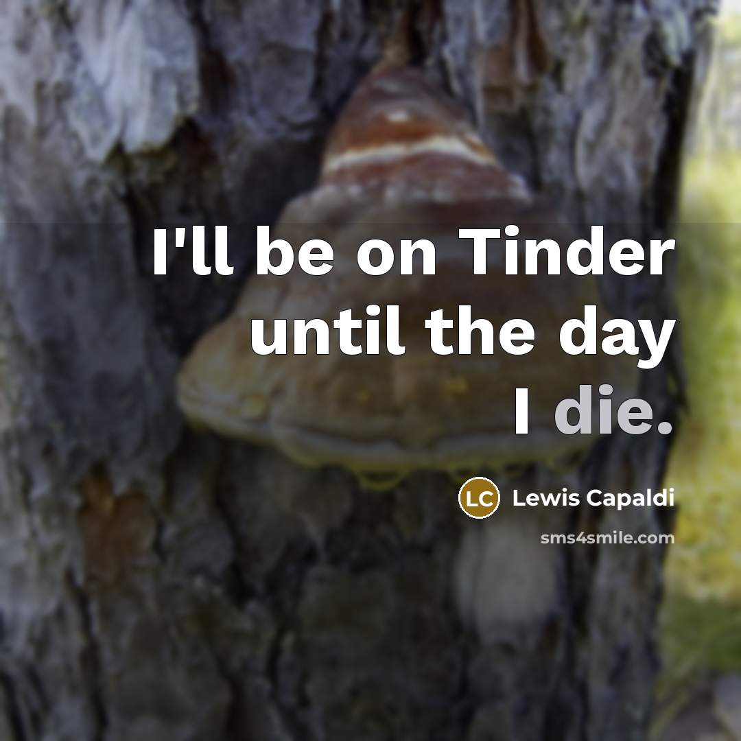 “I'll be on Tinder until the day I die.…” quote by Lewis Capaldi