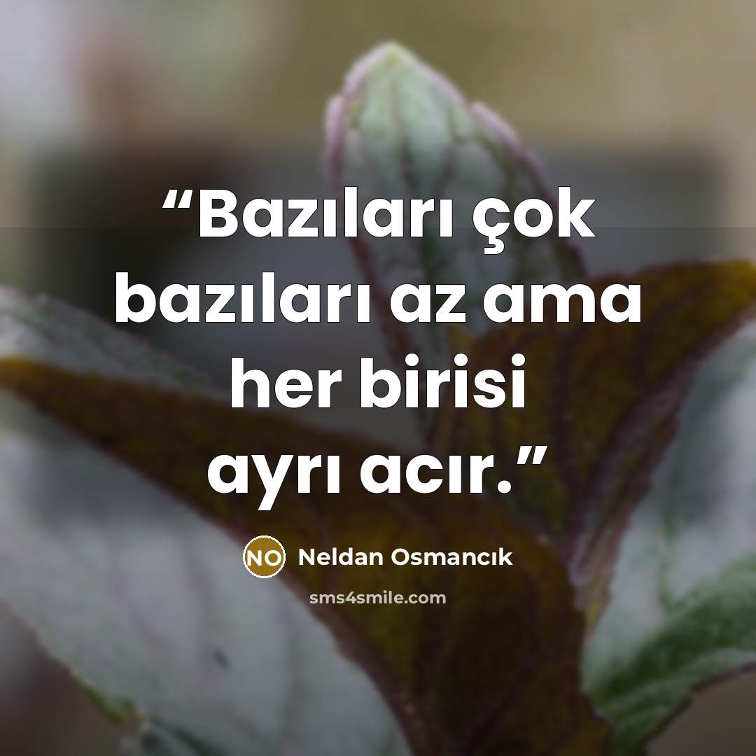 “Bazıları çok bazıları az ama her birisi ayrı acır.” quote by Neldan Osmancık