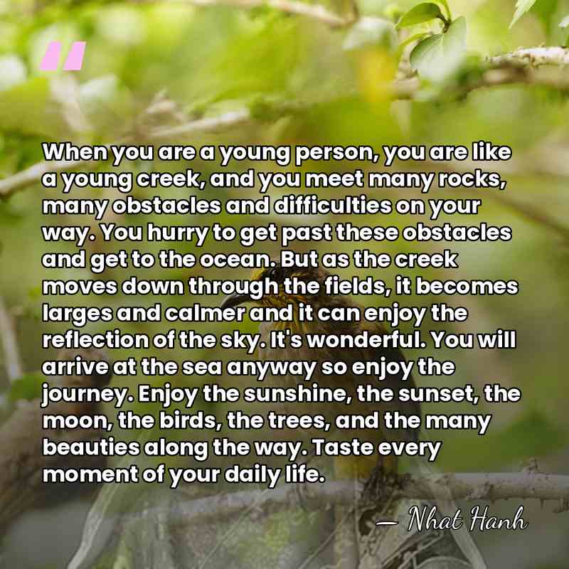 When you are a young person, you are like a young creek,&hellip; - Nhat Hanh