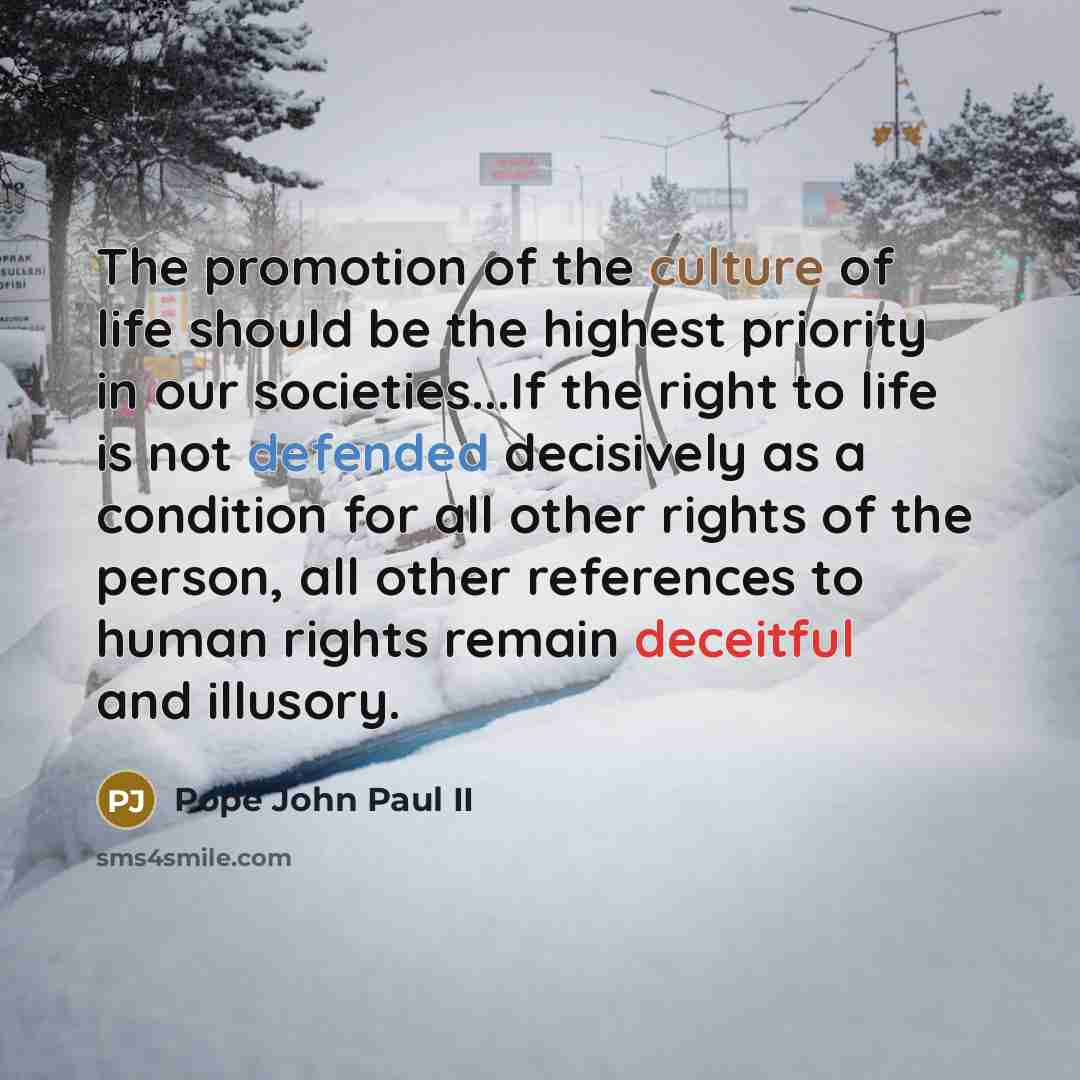 “The promotion of the culture of life should be the…” quote by Pope John Paul II