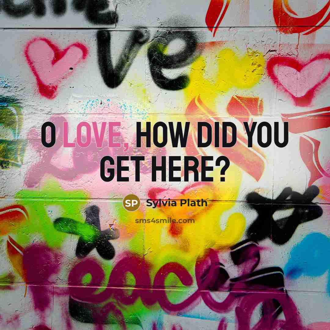 “O love, how did you get here?…” quote by Sylvia Plath