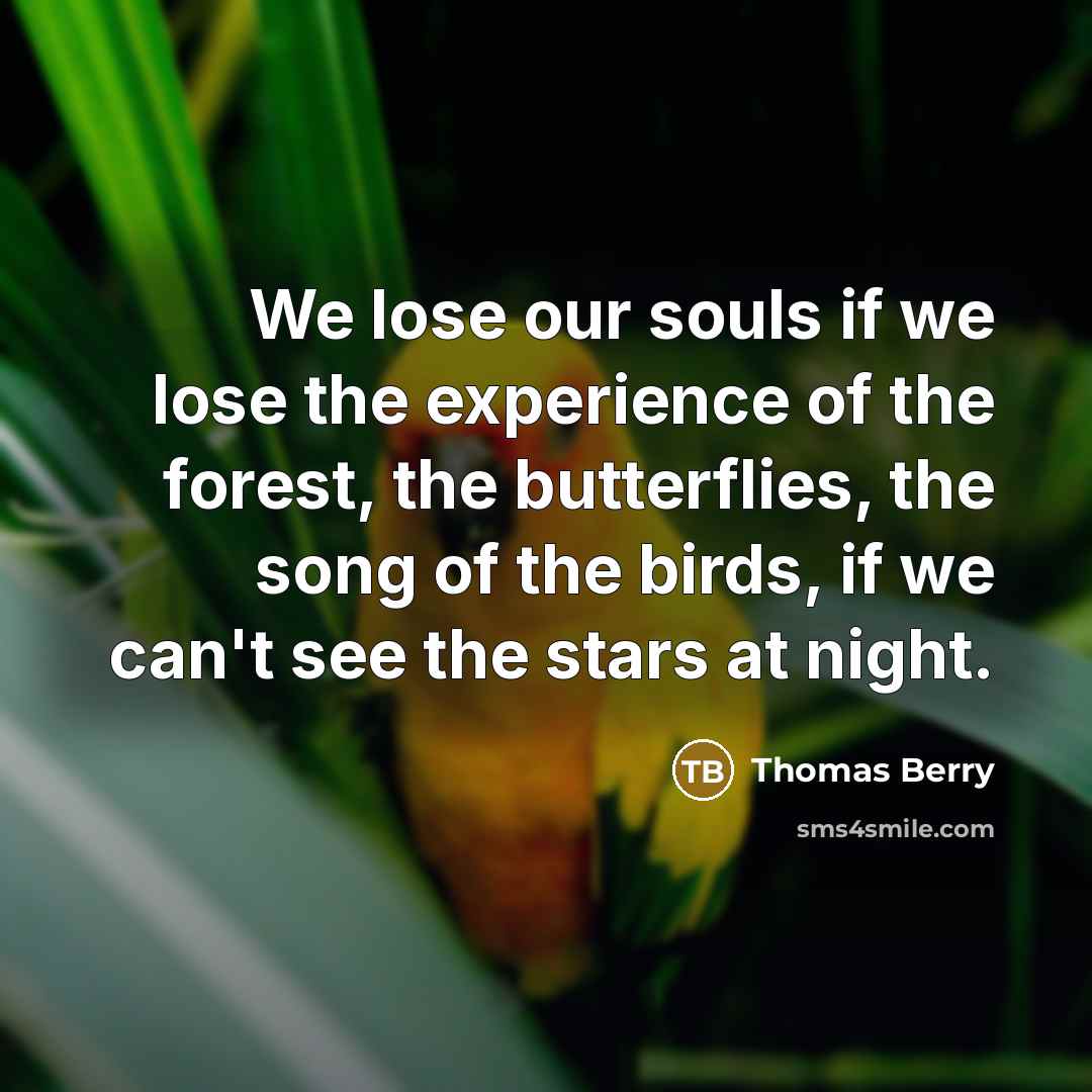“We lose our souls if we lose the experience of…” quote by Thomas Berry
