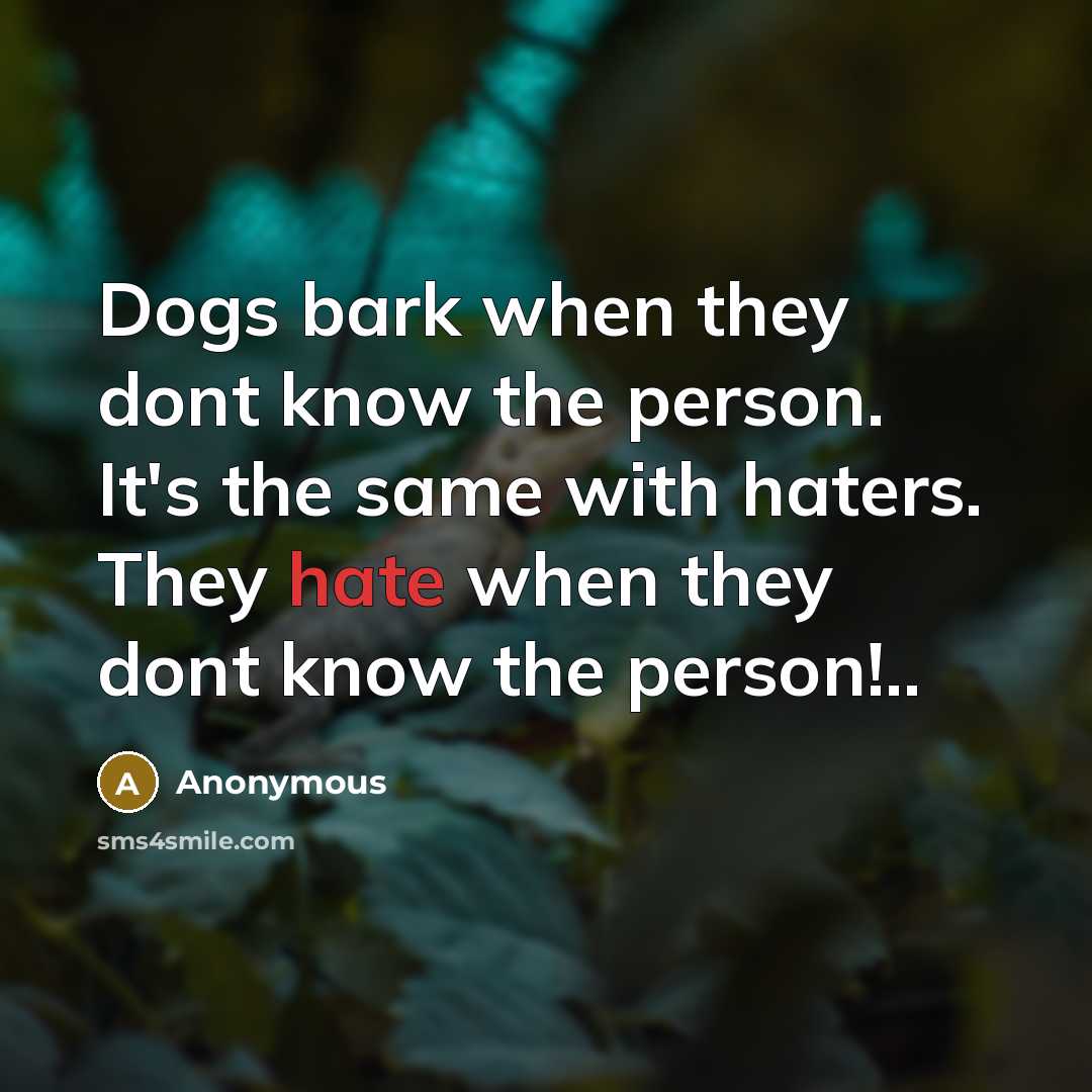 “Dogs bark when they dont know the person. It's the same with haters. They hate when they dont know the person!..” quote by Anonymous