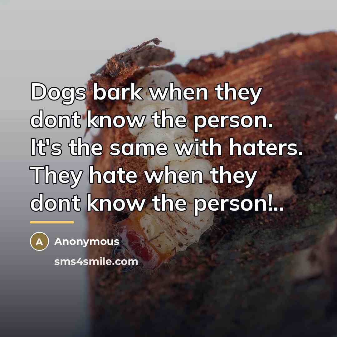 “Dogs bark when they dont know the person. It's the…” quote by Anonymous