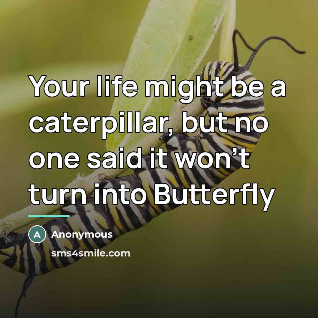 “Your life might be a caterpillar, but no one said…” quote by Anonymous