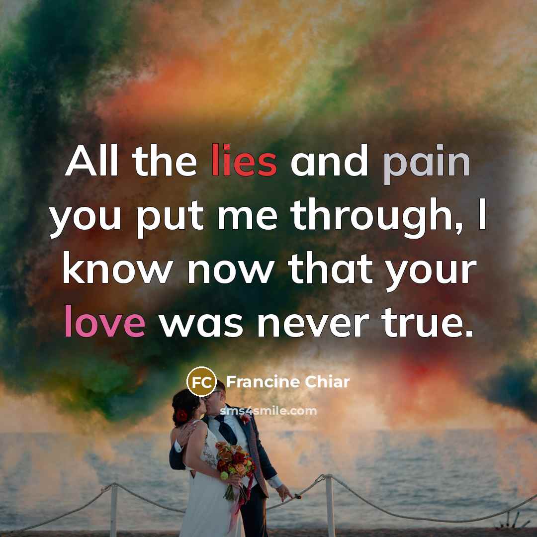 “All the lies and pain you put me through, I know now that your love was never true.” quote by Francine Chiar