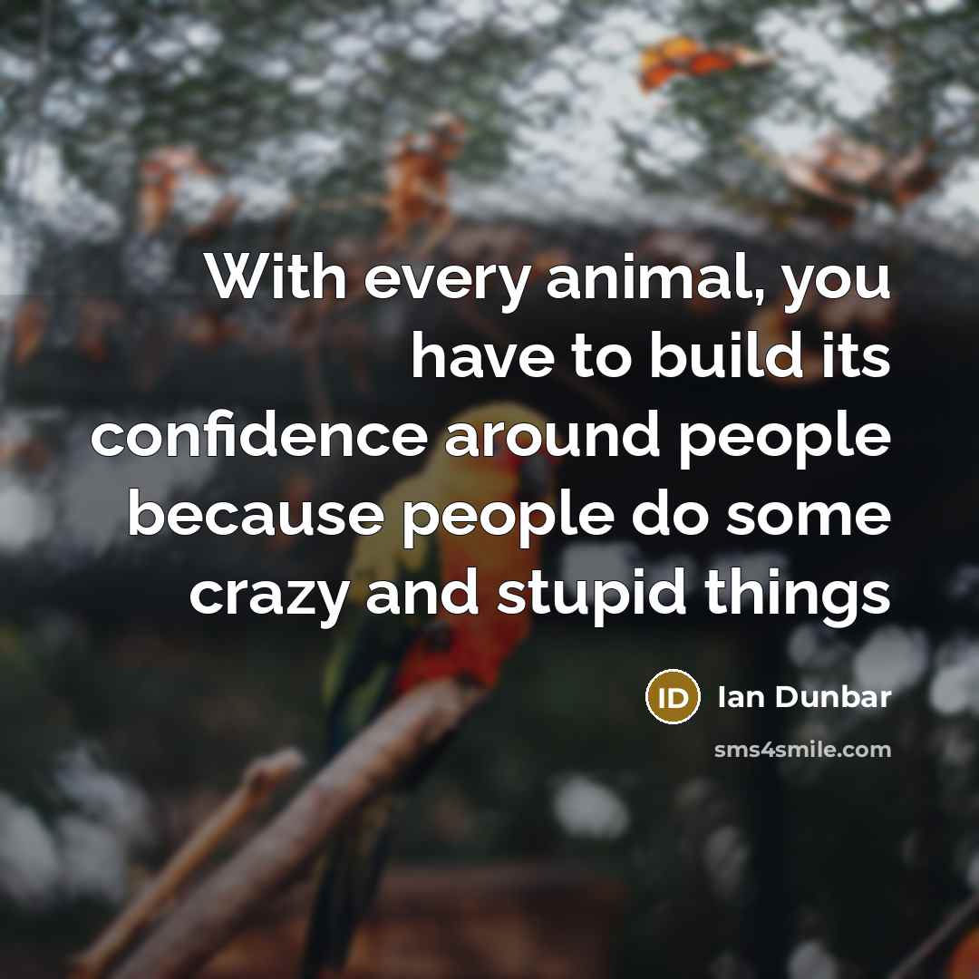 “With every animal, you have to build its confidence around…” quote by Ian Dunbar