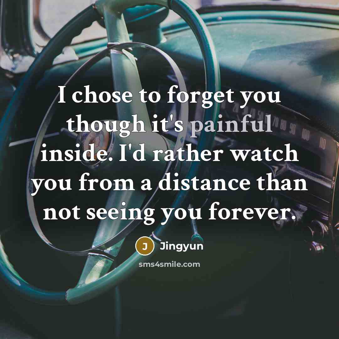 “I chose to forget you though it's painful inside. I'd…” quote by Jingyun