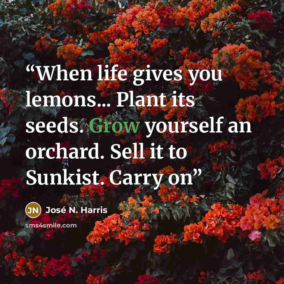 “When life gives you lemons... Plant its seeds. Grow yourself an orchard. Sell it to Sunkist. Carry on” quote by José N. Harris