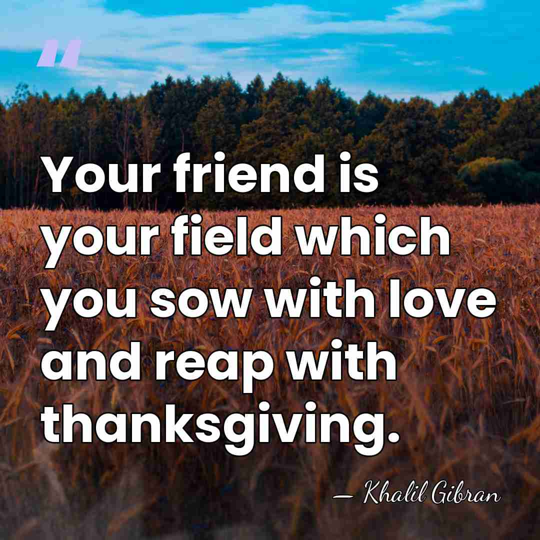 Your friend is your field which you sow with love and reap&hellip; - Khalil Gibran