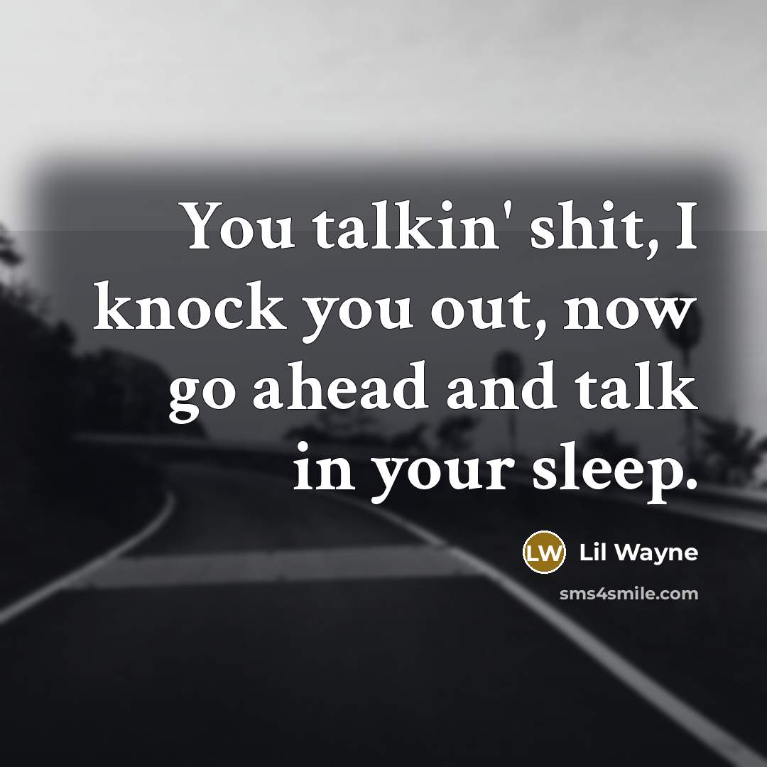 “You talkin' shit, I knock you out, now go ahead…” quote by Lil Wayne