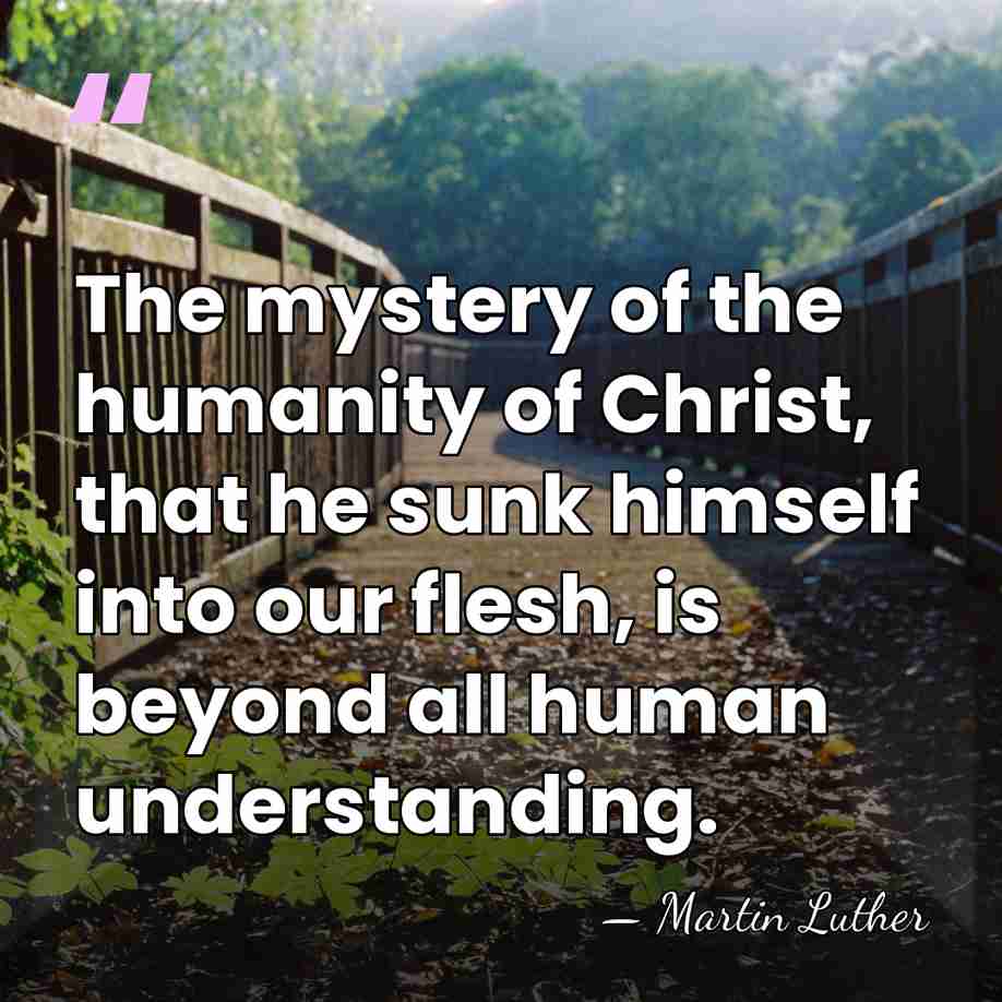 The mystery of the humanity of Christ, that he sunk himself into&hellip; - Martin Luther